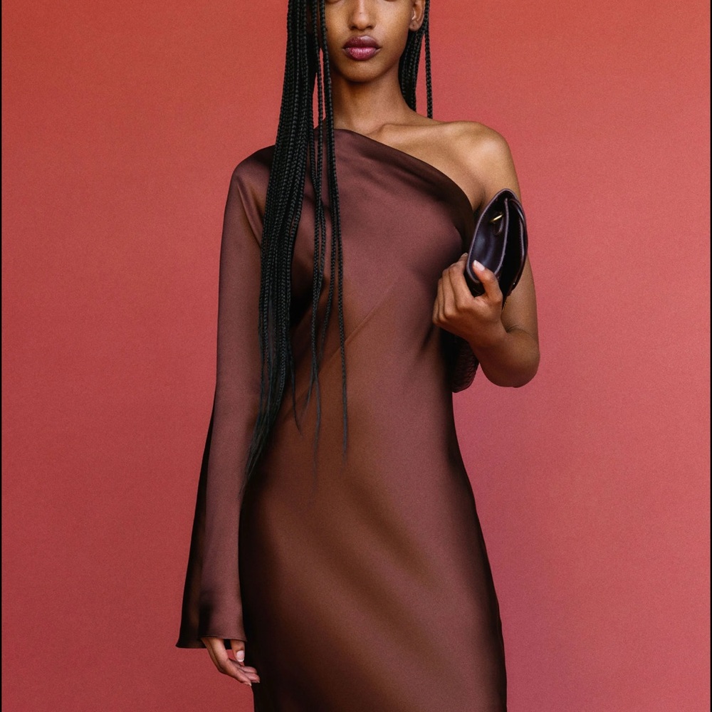 Reformation Omari Silk Dress in Mahogany - Size 2
